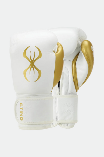 Evolution Boxhandschuhe